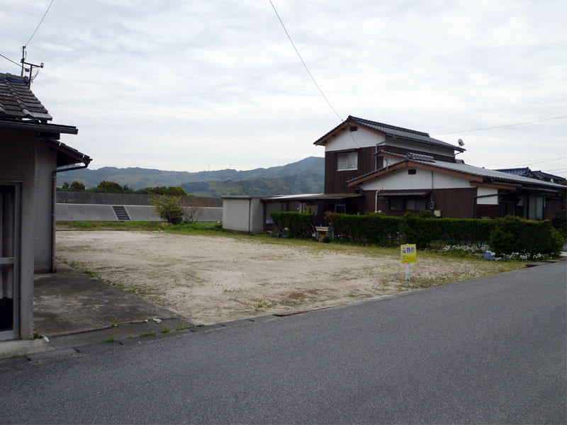 874画像