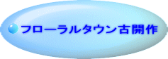 �t���[�����^�E���ÊJ�� 