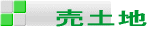 ���y�n 