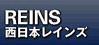 �s���Y�����������̂��߂̃R���s���[�^�E�l�b�g���[�N�E�V�X�e���@�����{���C���Y
