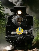 �R���ƌ����΂r�k�@�r�k�̗��Ȃ�